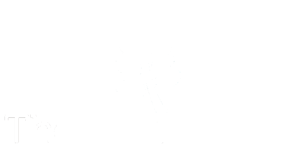 Chiropractic Toormina NSW The happy spine