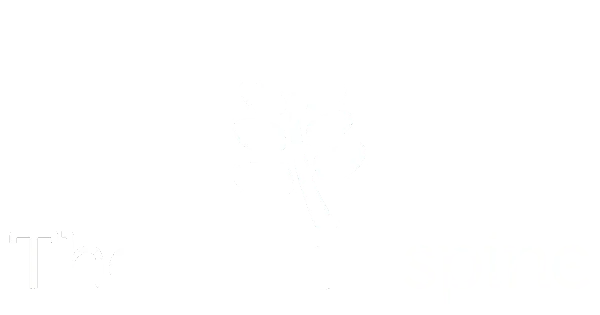 Chiropractic Toormina NSW The happy spine