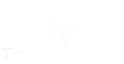 Chiropractic Toormina NSW The happy spine